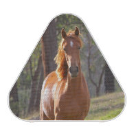Horse In The Woods Bluetooth Speaker