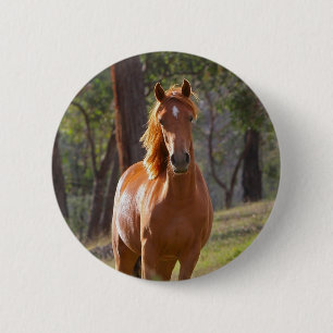 Horse In The Woods Button