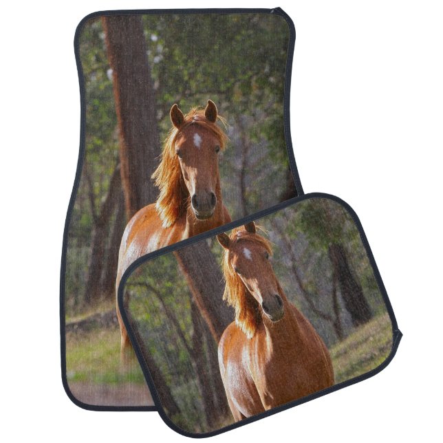 Horse In The Woods Car Floor Mat (Set)