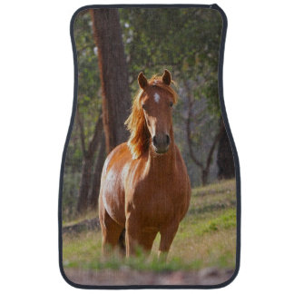 Horse In The Woods Car Mat