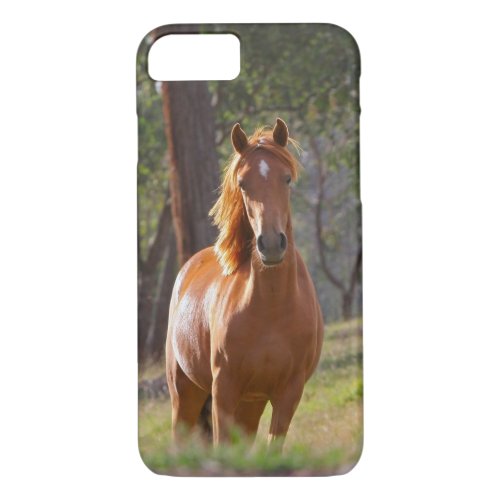 Horse In The Woods iPhone 87 Case