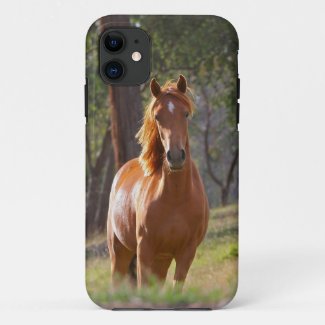 Horse In The Woods Phones
