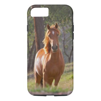 Horse In The Woods Iphone 8/7 Case by bonfireanimals at Zazzle