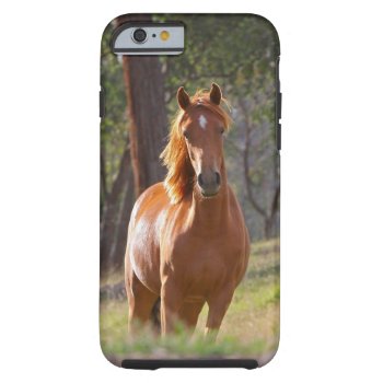 Horse In The Woods Tough Iphone 6 Case by bonfireanimals at Zazzle