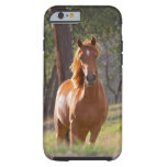 Horse In The Woods Tough Iphone 6 Case at Zazzle