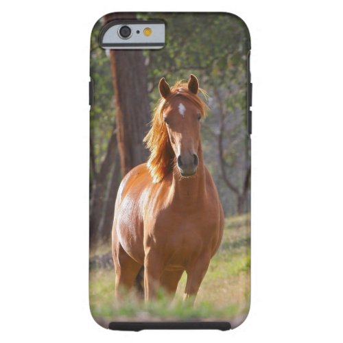 Horse In The Woods Tough iPhone 6 Case