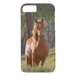 Horse In The Woods Iphone 8/7 Case at Zazzle