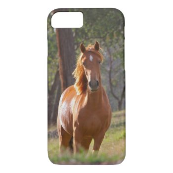 Horse In The Woods Iphone 8/7 Case by bonfireanimals at Zazzle