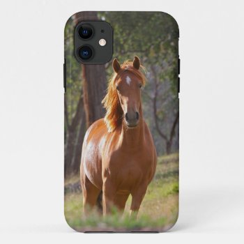 Horse In The Woods Iphone 11 Case by bonfireanimals at Zazzle