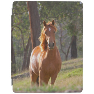 Horse In The Woods iPad Smart Cover