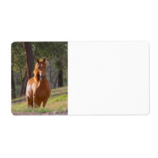 Horse In The Woods Label