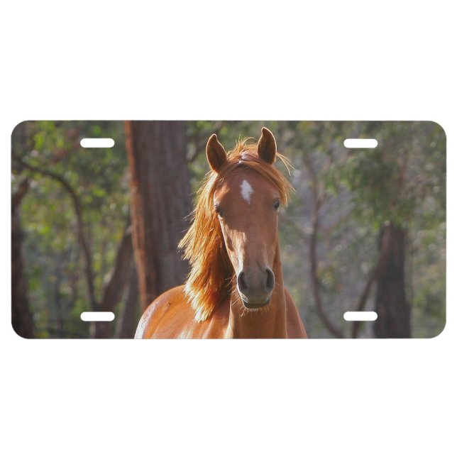 Horse In The Woods License Plate (Front)