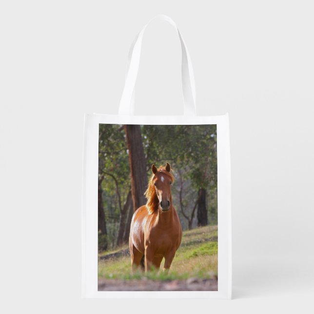 Horse In The Woods Reusable Grocery Bag (Back)