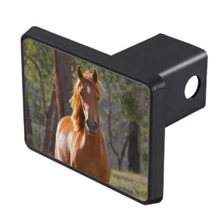 Horse In The Woods Tow Hitch Cover