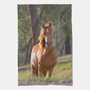 Horse In The Woods Towel by bonfireanimals at Zazzle