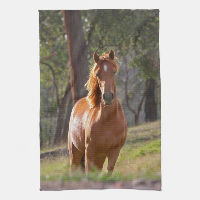 Horse In The Woods Towel (Vertical)