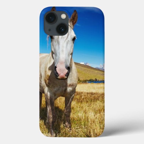 Horse in Torres del Paine National Park Laguna iPhone 13 Case