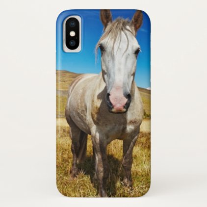 Horse in Torres del Paine National Park, Laguna iPhone X Case
