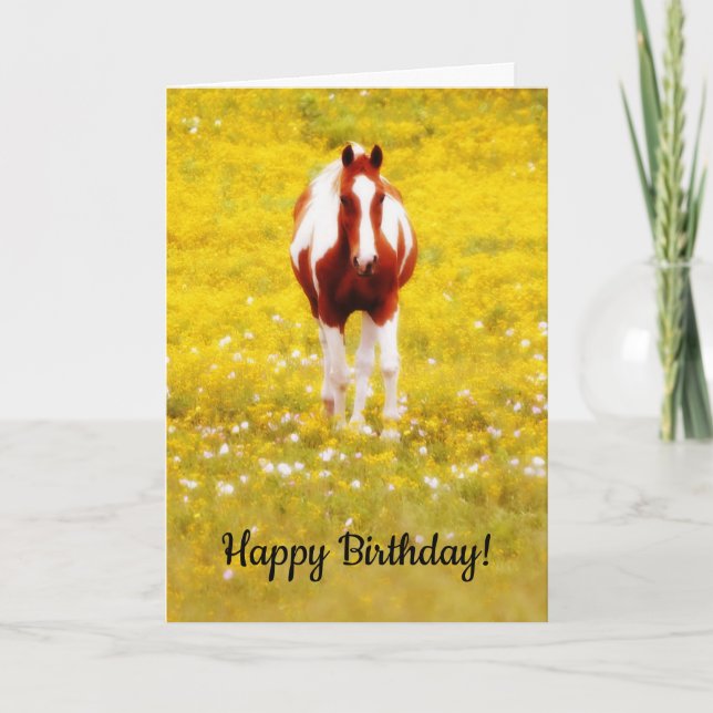 Horse in Wildflowers Birthday Card (Front)