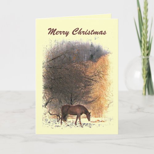 Horse in Winter Christmas Holiday Card