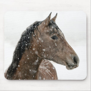 Horse in Winter Mouse Pad