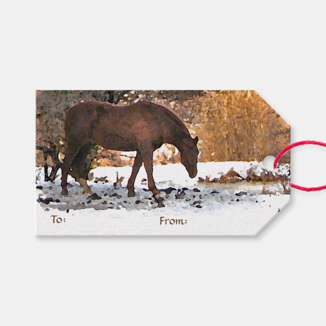 Horse in Winter Pack of Gift Tags