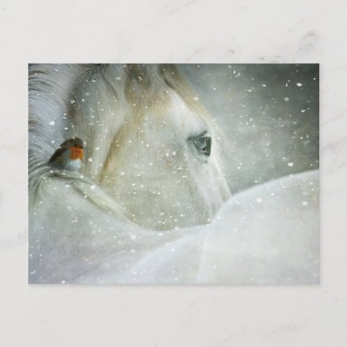 horse in winter postcard