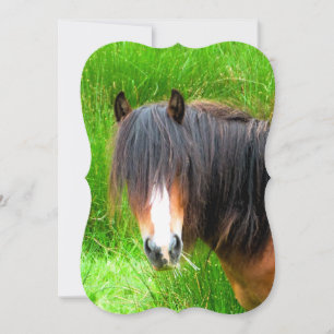HORSE Invitations