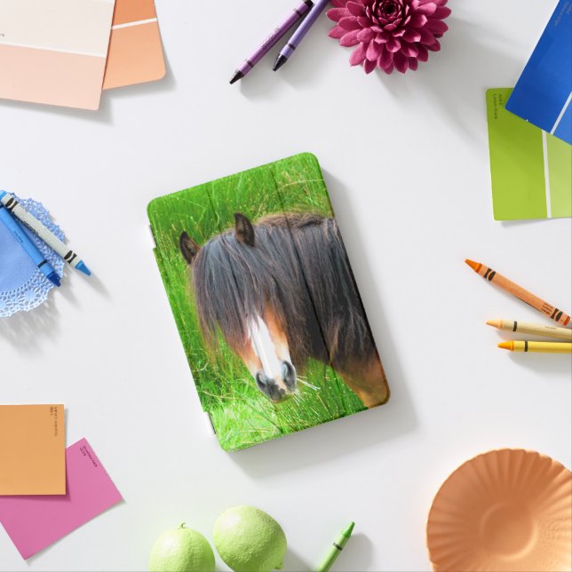 HORSE iPad MINI COVER (In Situ)