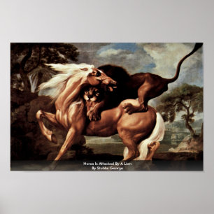 Horse Is Attacked By A Lion By Stubbs George Poster