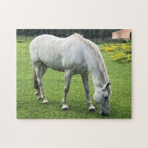 Horse Jigsaw _ A White Horse Grazing in a Field Jigsaw Puzzle