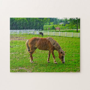 Horse Jigsaw Puzzle