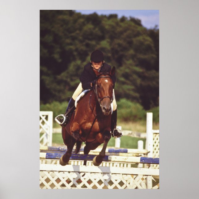 Horse Jumping Contest - Poster (Front)