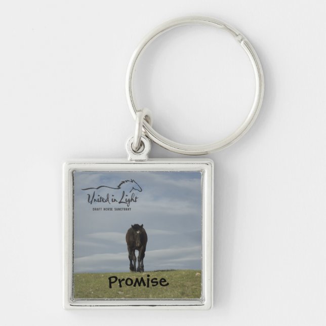 Horse Key Chain (Front)