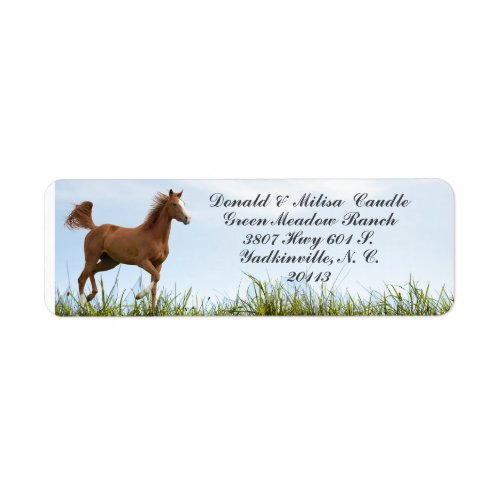  HORSE LABEL