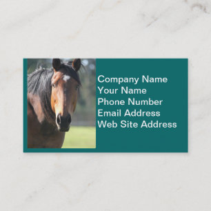 Horse: Large Brown Horse Close-Up of Face Business Card