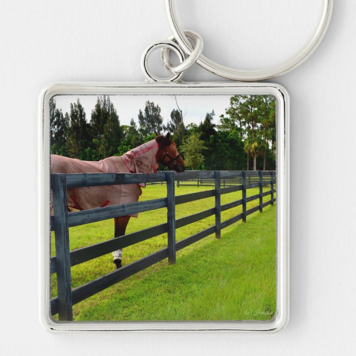 Horse looking down fence path keychain