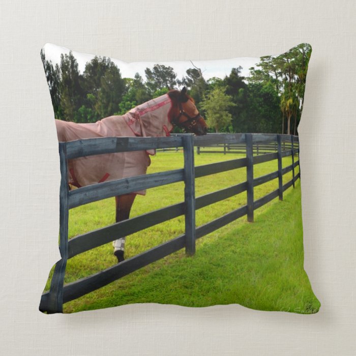 Horse looking down fence path pillows