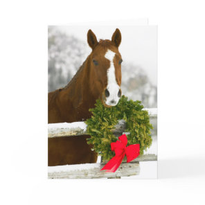 Horse looking over fence holiday card