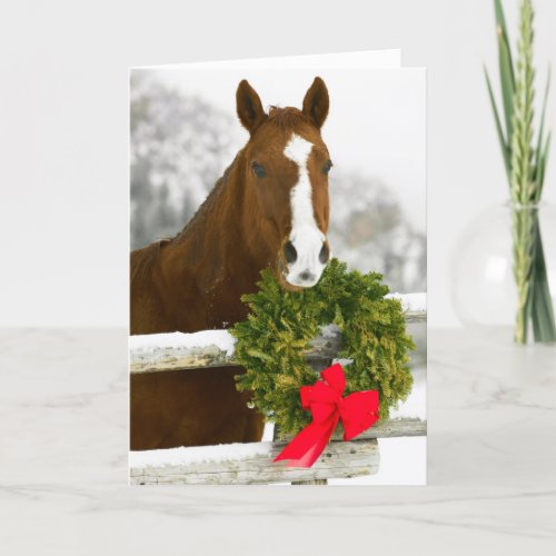 Horse looking over fence holiday card