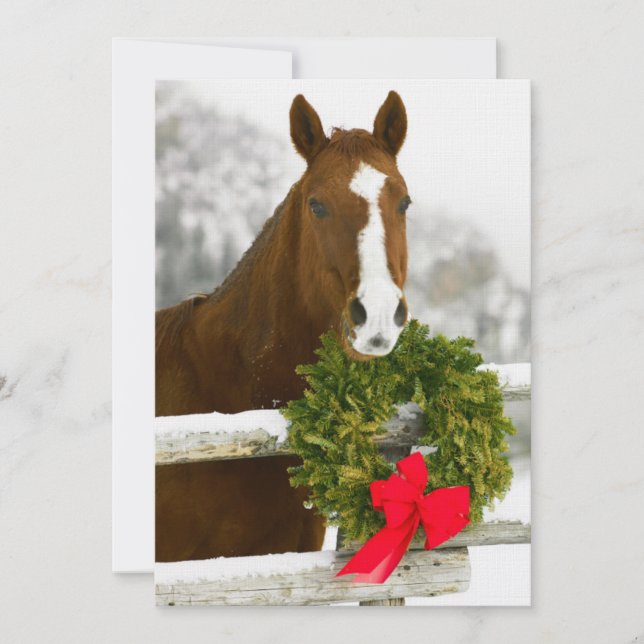 Horse looking over fence invitation (Front)