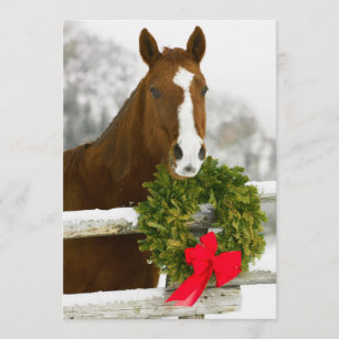 Horse looking over fence invitation