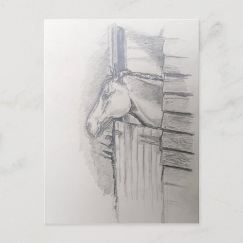 Horse looking over the stable door postcard