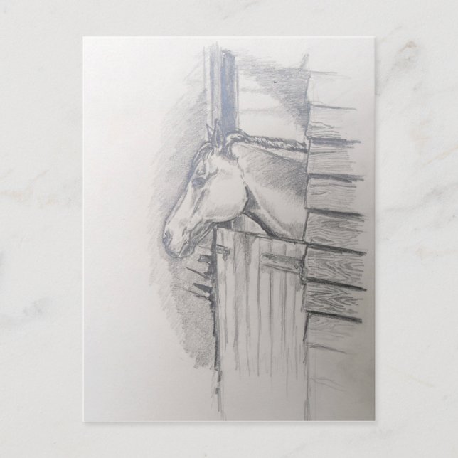 Horse looking over the stable door postcard (Front)