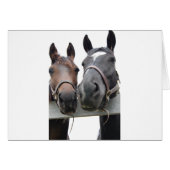 Horse-Love (Front Horizontal)