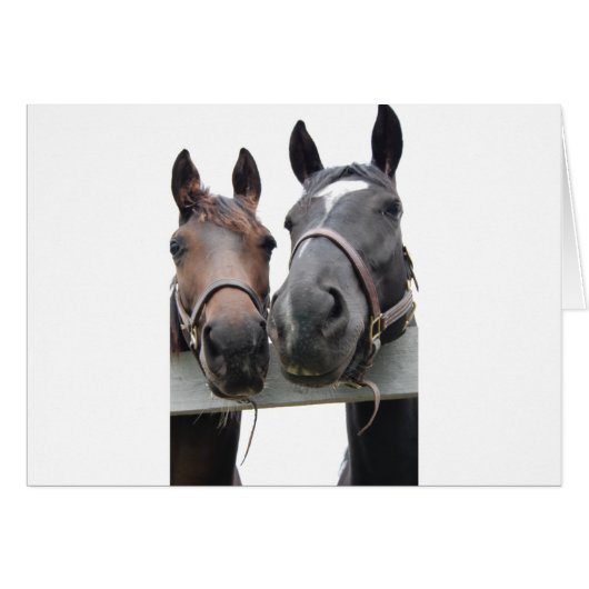 Horse-Love (Front Horizontal)