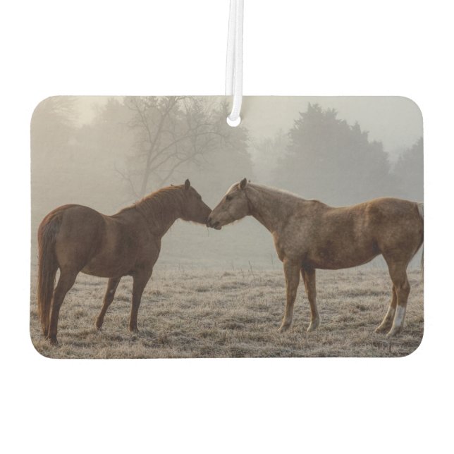 Horse Love Air Freshener (Back)