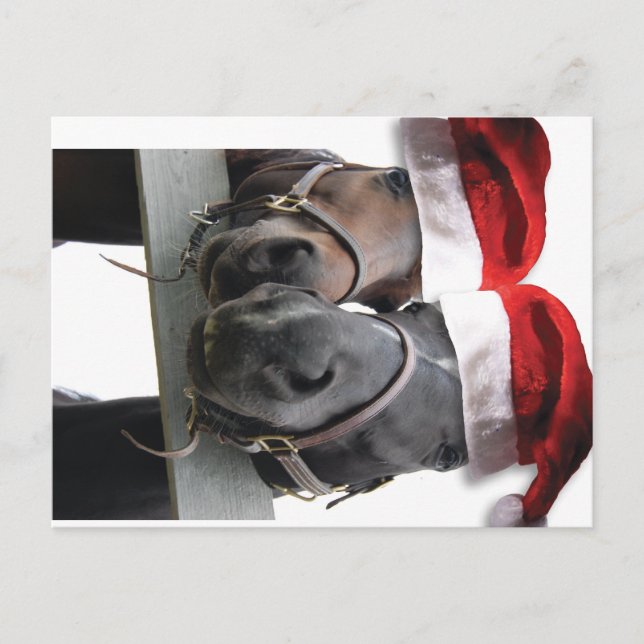 Horse Love and Merry Christmas Holiday Postcard (Front)
