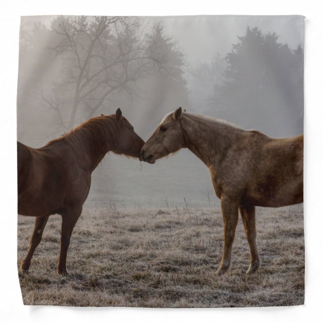 Horse Love Bandana (Front)