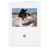 Horse Love Cards (Back)